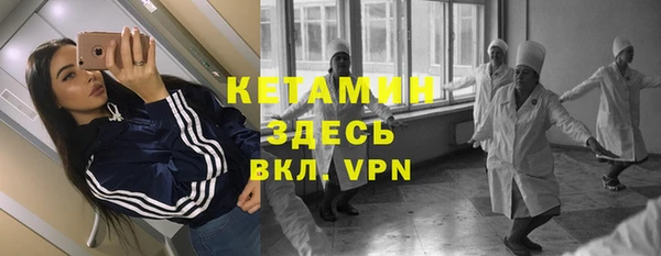индика Алексин
