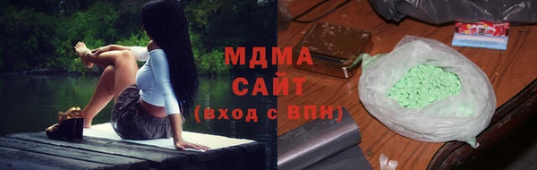 индика Алексин