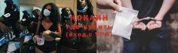 индика Алексин