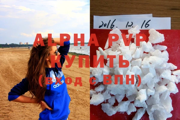 PSILOCYBIN Ельня