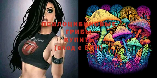 СК Алзамай