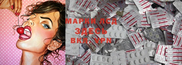 индика Алексин