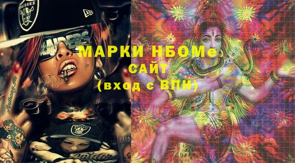 индика Алексин