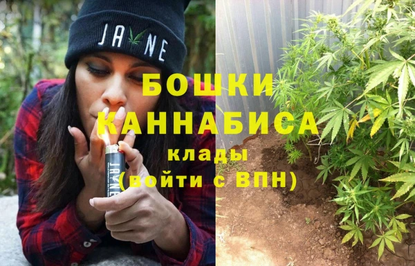 СК Алексеевка
