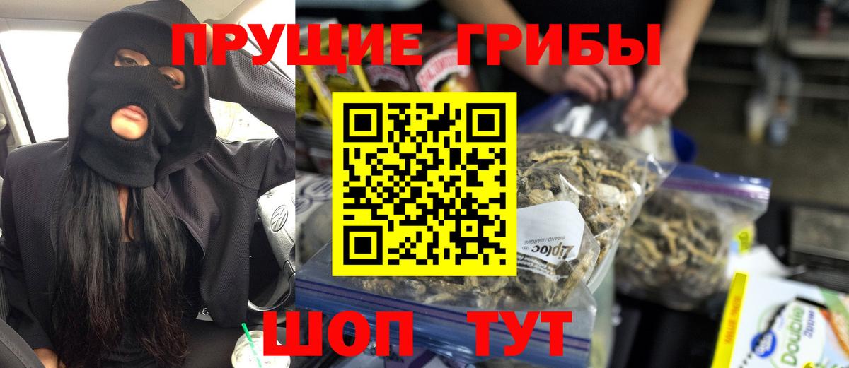 Ишим  Псилоцибиновые грибы MAGIC MUSHROOMS  Вход с VPN 